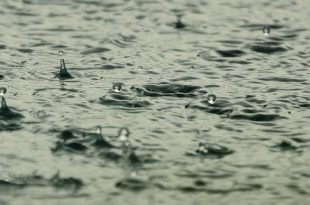 Zware regenval zomer 2018 erkend als ramp