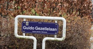 Voorlopig geen woonproject achter Guido Gezellelaan