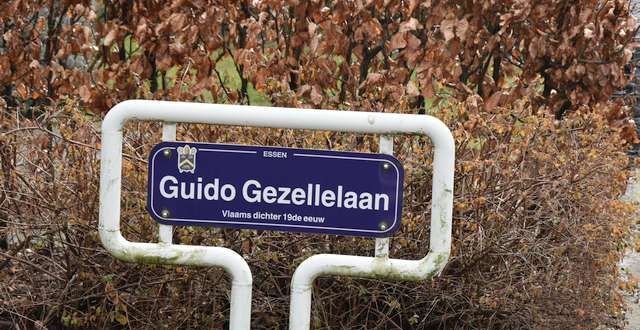 Voorlopig geen woonproject achter Guido Gezellelaan