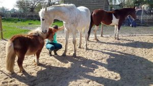 Rian Heeren - Hobby Paarden - (c) Noordernieuws.be - 57154807_2