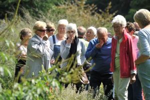 Uitzonderlijke avondopening in Arboretum Kalmthout