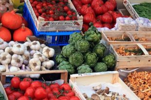 Boerenmarkt Loenhout - Markt Amandina 2019