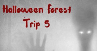 Jaag mensen de stuipen op het lijf bij de Halloween Forest Trip!