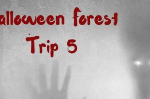 Jaag mensen de stuipen op het lijf bij de Halloween Forest Trip!