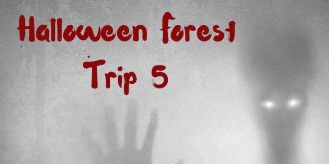 Jaag mensen de stuipen op het lijf bij de Halloween Forest Trip!