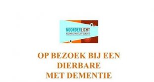 Noorderlicht meer zuidelijk…