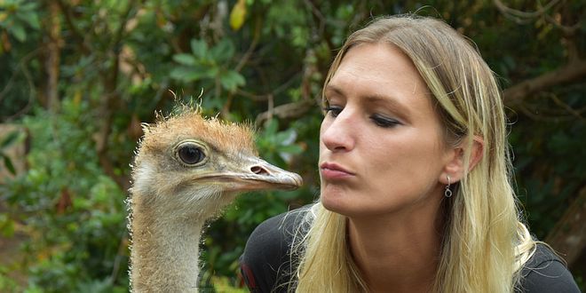 Wendy Adriaens - Kinderanimator - Hobby Struisvogels