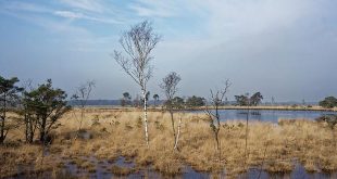 Groenrand streeft naar nationaal park 'De Voorkempen'3