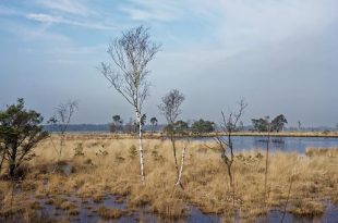 Groenrand streeft naar nationaal park 'De Voorkempen'3