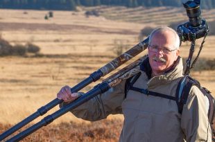 Karel De Blick - Hobby Fotografie - Vogelfotografie - Natuurfotografie