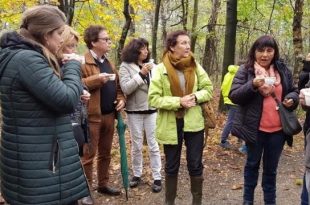 Smikkel Smakkelwandeling in de Withoefse Heide2019