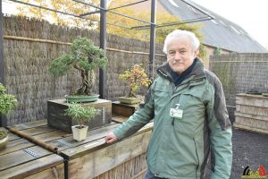 103 Bonsai - Hobby - Rudy Siedlecki - (c) Noordernieuws.be - HDB_9418