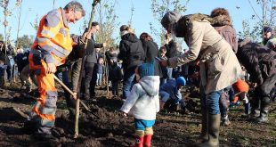 181 nieuwe bomen in Kalmthouts geboortebos