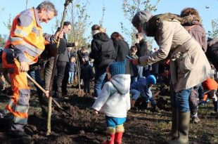 181 nieuwe bomen in Kalmthouts geboortebos