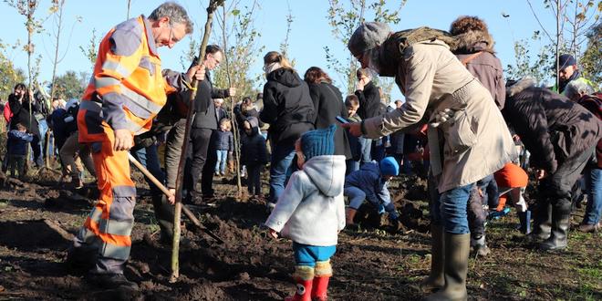 181 nieuwe bomen in Kalmthouts geboortebos