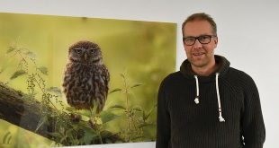 Beroep Glenn Vermeersch - Fotograaf - Vogelmonitoring Antwerpen