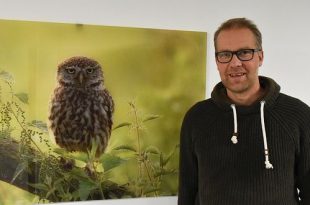 Beroep Glenn Vermeersch - Fotograaf - Vogelmonitoring Antwerpen