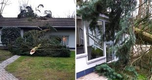 Essen - Storm Dennis - Boom waait om schade aan woning