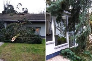 Essen - Storm Dennis - Boom waait om schade aan woning