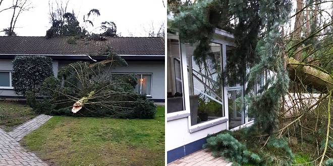 Essen - Storm Dennis - Boom waait om schade aan woning