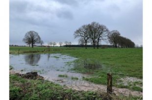 Groenrand wil op Brechtse Heide kleine landschapselementen stimuleren2