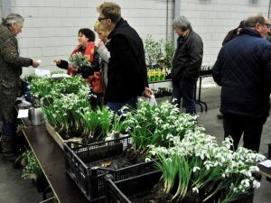 Sneeuwklokjesweekend toont uniek herbarium4