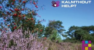 Gemeente Kalmthout lanceert overkoepelend hulpplatform ‘Kalmthout helpt #samentegencorona’