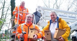 Gemeente hangt mezenkastjes om processierups op natuurlijke wijze te bestrijden