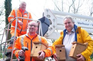 Gemeente hangt mezenkastjes om processierups op natuurlijke wijze te bestrijden