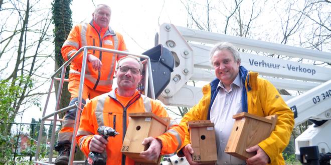 Gemeente hangt mezenkastjes om processierups op natuurlijke wijze te bestrijden