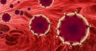 Strenge maatregelen om opmars coronavirus te stuiten, óók in Kalmthout
