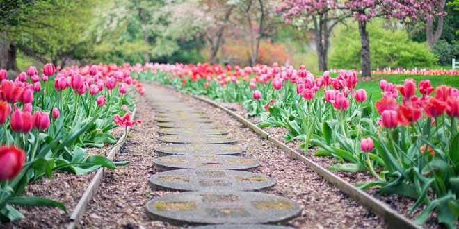 April wat moet er deze maand gebeuren in de tuin