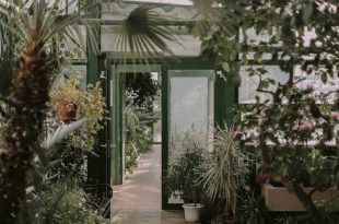 Essense tuincentra en doe-het-zelfzaken zijn weer open