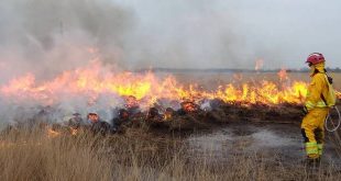 Fase rood in natuurgebieden