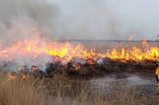 Fase rood in natuurgebieden