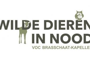 VOC - Hulpdienst voor wilde dieren in nood wordt ernstig lastig gevallen door stalker