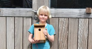 Nelles Luyten verrast klasgenootjes met bouwpakket vogelhuisje - Essen