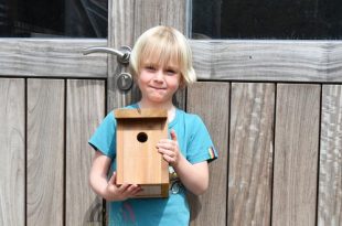 Nelles Luyten verrast klasgenootjes met bouwpakket vogelhuisje - Essen