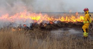 Algemeen vuur- en rookverbod natuurgebieden in provincie Antwerpen