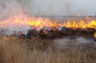 Algemeen vuur- en rookverbod natuurgebieden in provincie Antwerpen