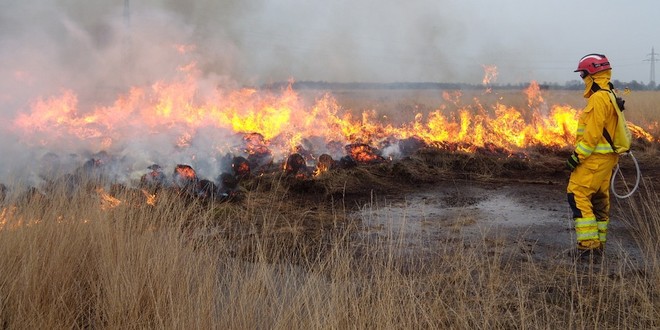 Algemeen vuur- en rookverbod natuurgebieden in provincie Antwerpen