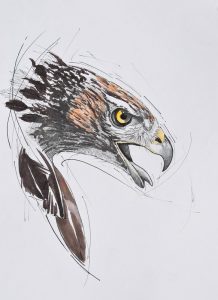 Els Deckers - Beroep Tatoeëerder - Pentekening Buizerd