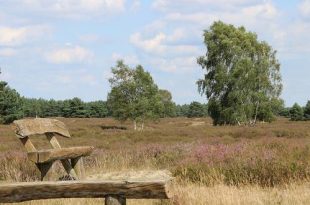 Extreem hoog brandgevaar Antwerpse natuurgebieden