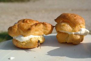 Wespen bestrijden in de tuin