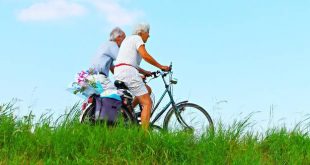 Hoe goed ken jij de regels Doe de fietstest