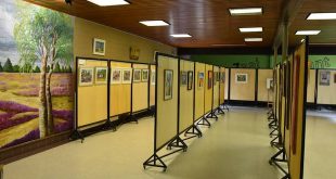 Expositie Essense Kunstvriendenkring met prachtige, nieuwe werken