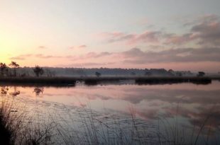 Fotowedstrijd Kan jij de stilte in het Grenspark in beeld vatten