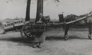 Karel Van Oevelen - Essen - Paard en wagen