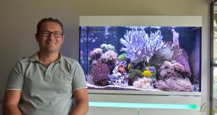 Richard Arnouts - Hobby Zoutwater aquarium - HDB_1592