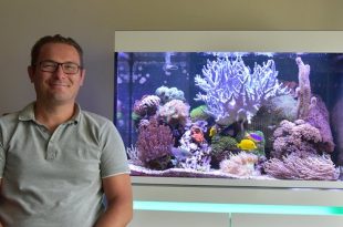 Richard Arnouts - Hobby Zoutwater aquarium - HDB_1592